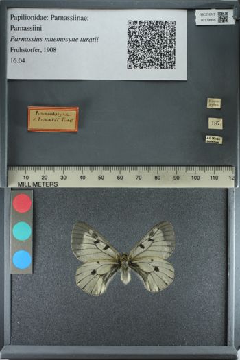 Media type: image;   Entomology 179956